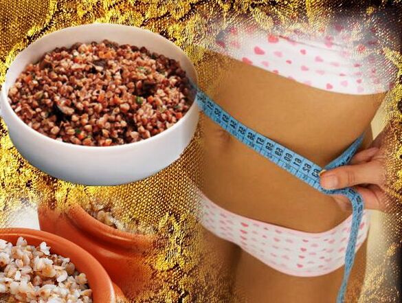 Features of Bucky Nutrition